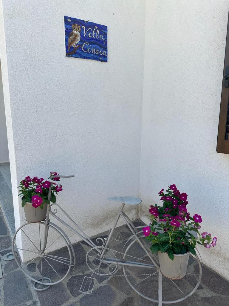 Villa Cinzia 타나우넬라 외부 사진